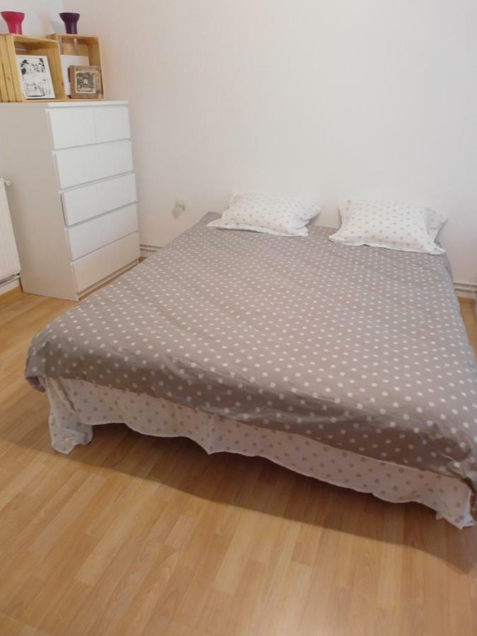 Studio Moliere Apartment บราชอฟ ภายนอก รูปภาพ